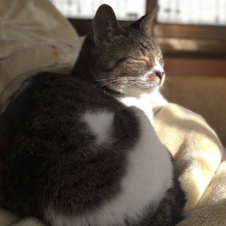 Cd687f64 209b 493c 92a8 5e4cdc81088e 1544579058156