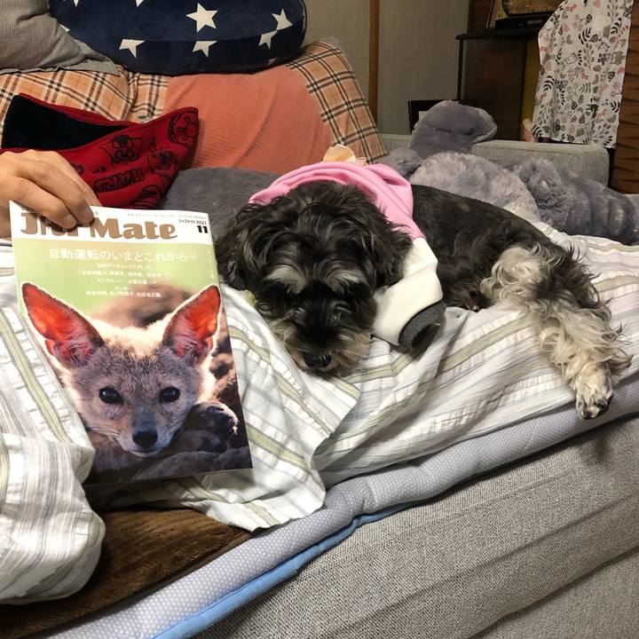 Cd68ad54 a99f 426d ac3b d2be8f6214cd 1635333674134