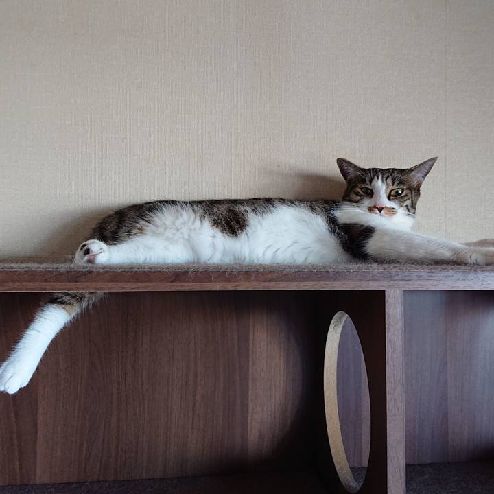 Cd68b2ea 0763 4ccc a955 e53e7bedf7ad 1597358942297