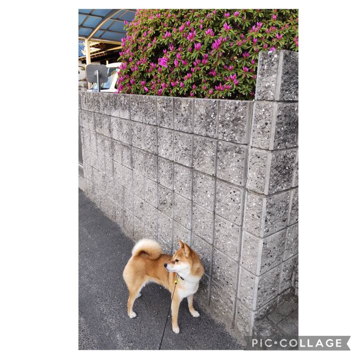 Cd68e252 6fe3 45fc af28 849c961a5c4a 1682201929809