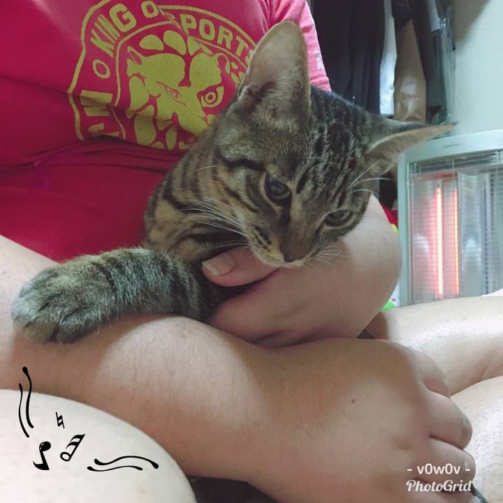 Cd68efdd 56e9 4019 8e79 eaf5bfdbd4f1 1543765641184