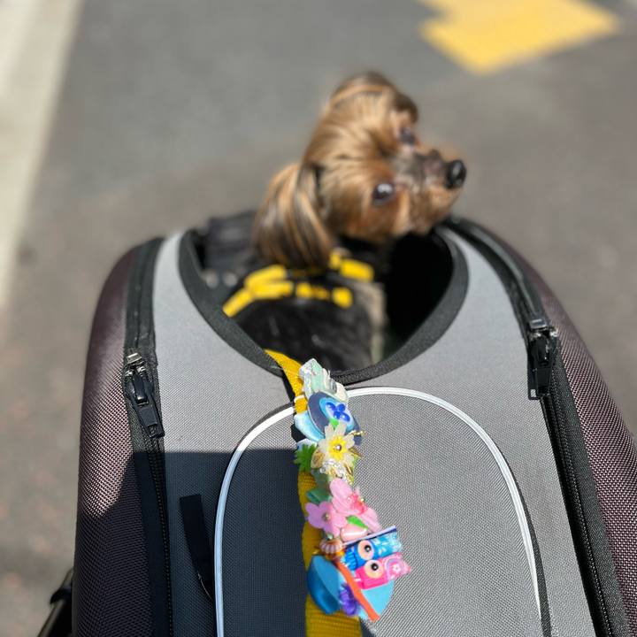 Cd68f66e 0fff 40c6 815e b965c36df33c 1651734126344