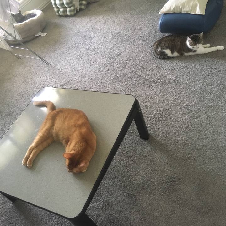 Cd68fdef baf2 4f04 b0cc 4a5f9be773a3 1656458018748