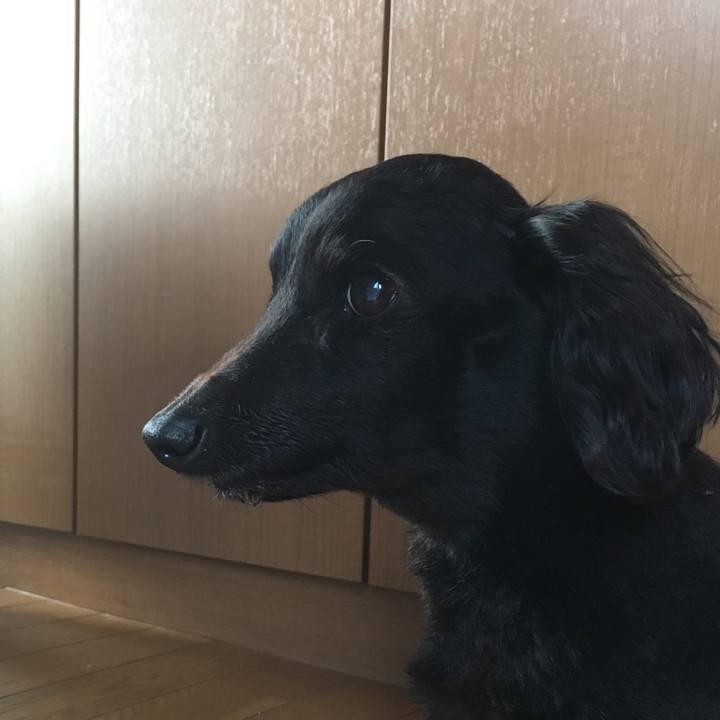 Cd69439a 4693 4244 b9f6 ac806a40725e 1548974960484