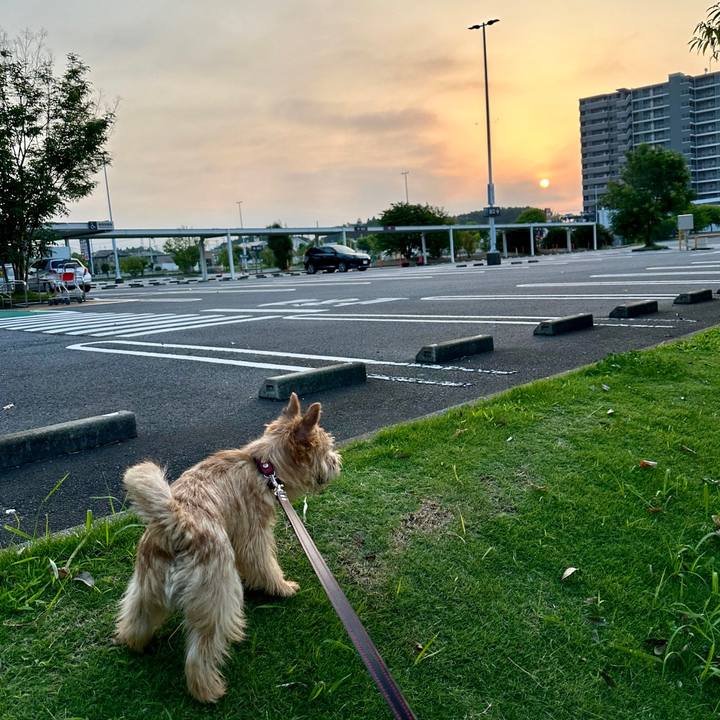 Cd697f2d 7bdb 4e2f 8d58 bbea042ec6a0 1721634168373