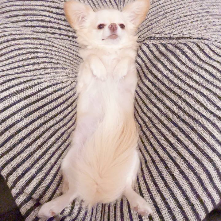 Cd6982b1 f39f 44a4 9334 95b3aa2fda54 1752240430004