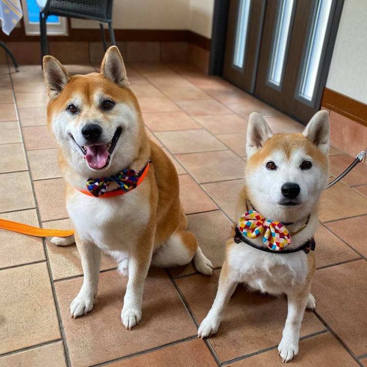 Cd698c2d ca44 43a3 9cce 1601e48975d5 1695004069257