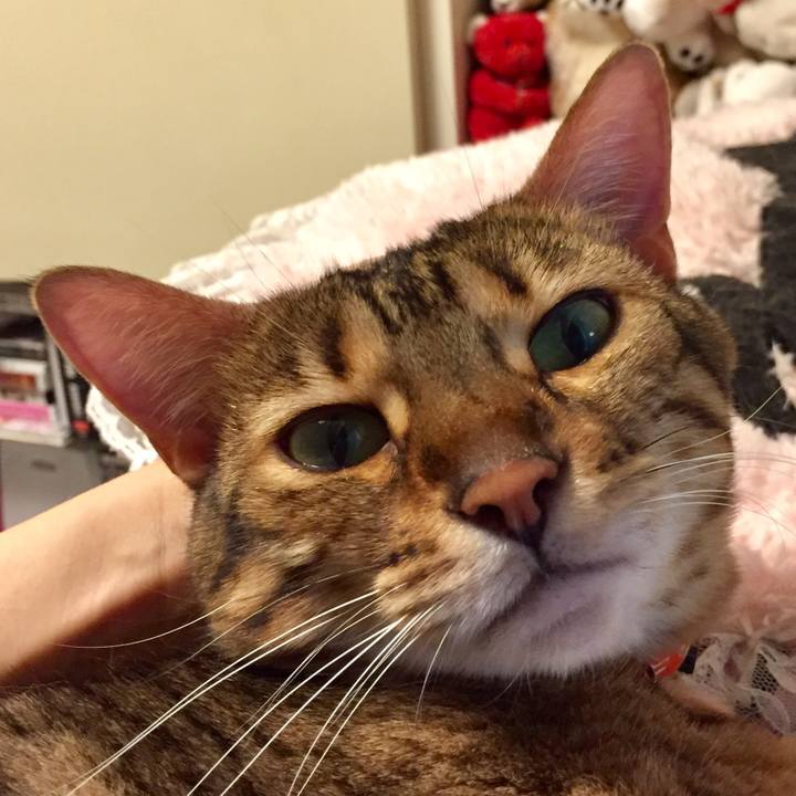 Cd69a969 e42a 4e0e 920a a54844b22146 1534635540526