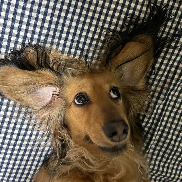 Cd69bd00 ac85 497f 8e3a 1733426fe53c 1674823915422