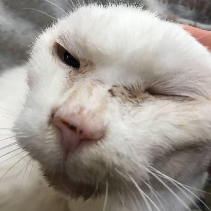 Cd69cde8 a59c 470d a411 d302ff1f224f 1544498499302