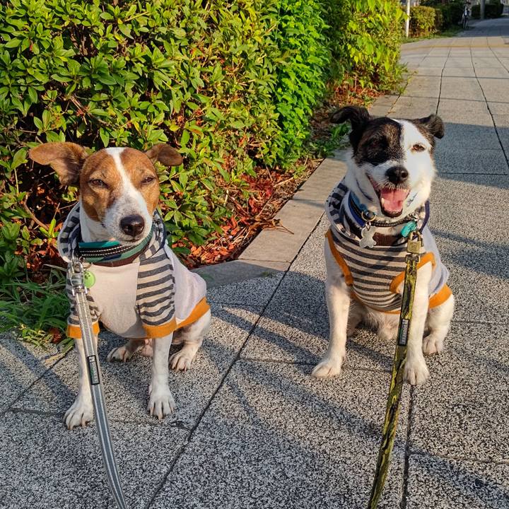 Cd69e665 b6e6 41c2 8172 1274809063a3 1692481166607