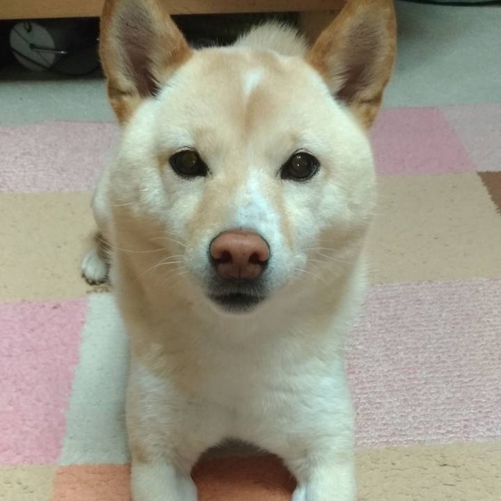 Cd6a57e2 0b53 4d6a b295 4e2ef0482cf6 1582579356991