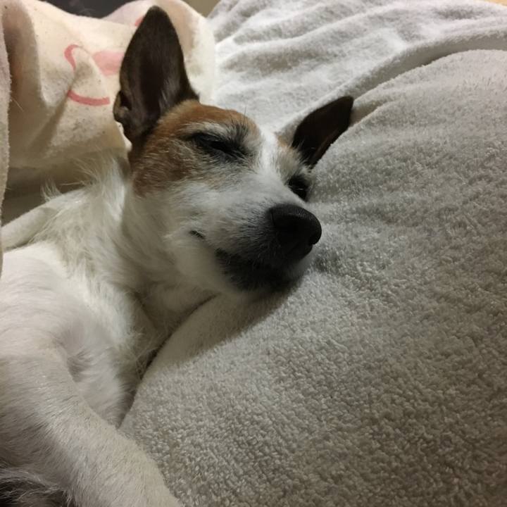 Cd6abb89 a725 412c abd7 66bd5d648a01 1606522006670