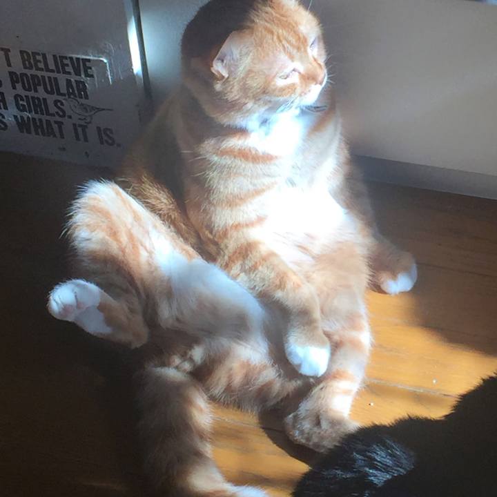 Cd6ac347 d0c7 4fee 9d32 962b8c8ccfca 1548125285644