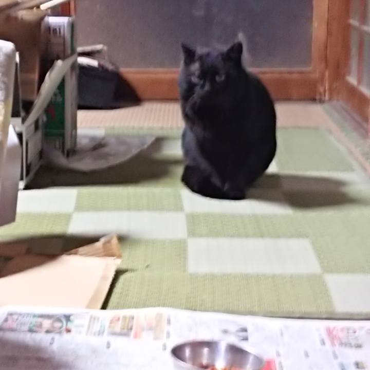 Cd6acba1 36e0 4a31 8d33 c3f70d5795e1 1615028176319