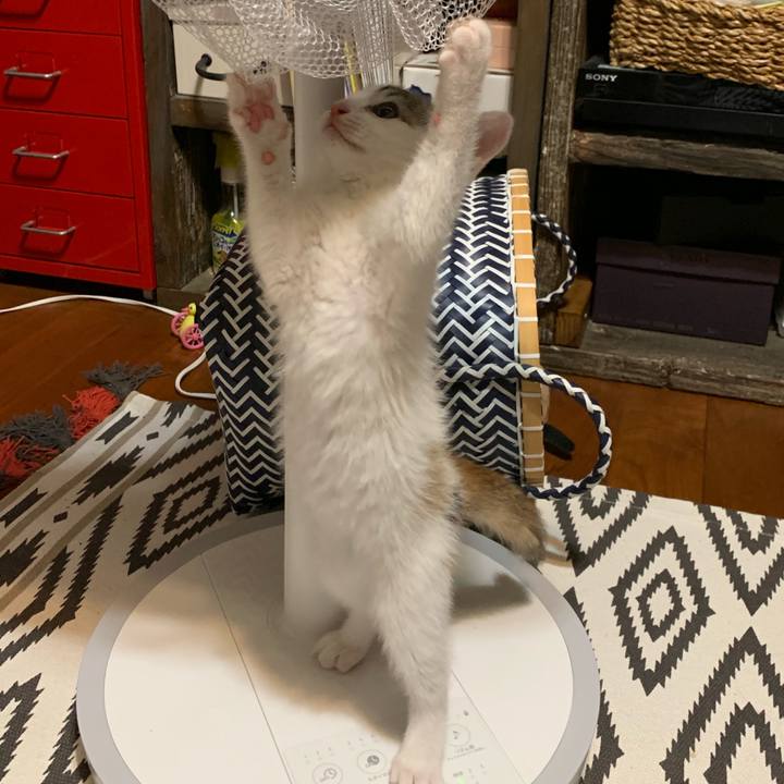 Cd6adebd 22b5 487e 9528 eee9534e38d1 1591617586845