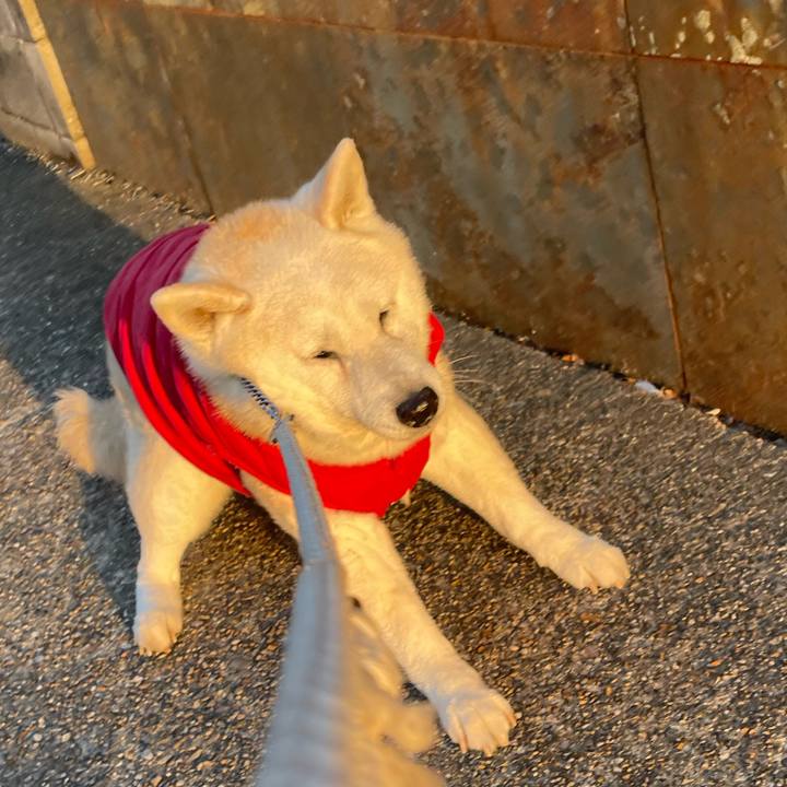 Cd6ae301 dd2a 429c 828e 214902520b0e 1710493546951