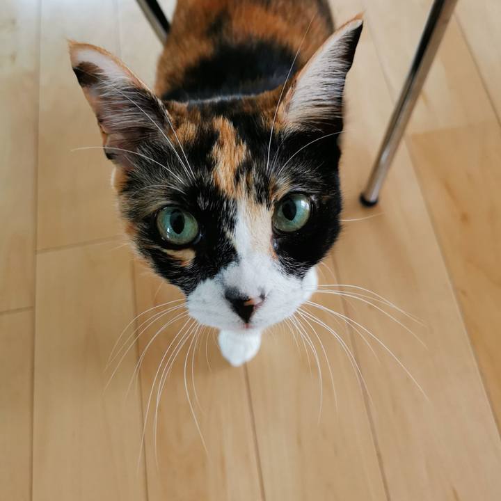 Cd6af822 169e 4bee b8e4 45cb064e318a 1629445827947