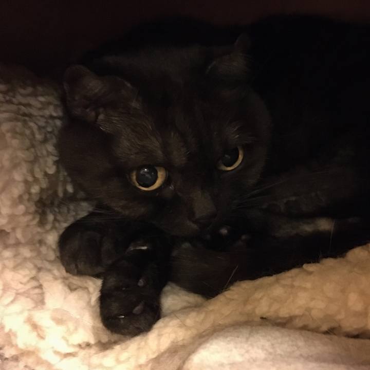 Cd6afc55 54cc 4664 b61c 75d8eb7c6177 1572232805532