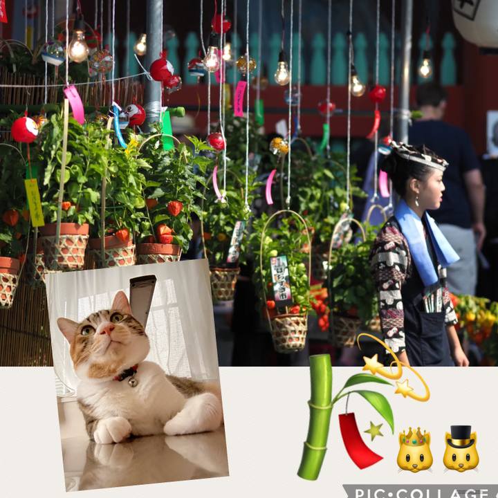 Cd6b025b 007f 4eca 83fd c579651a1146 1657132752339