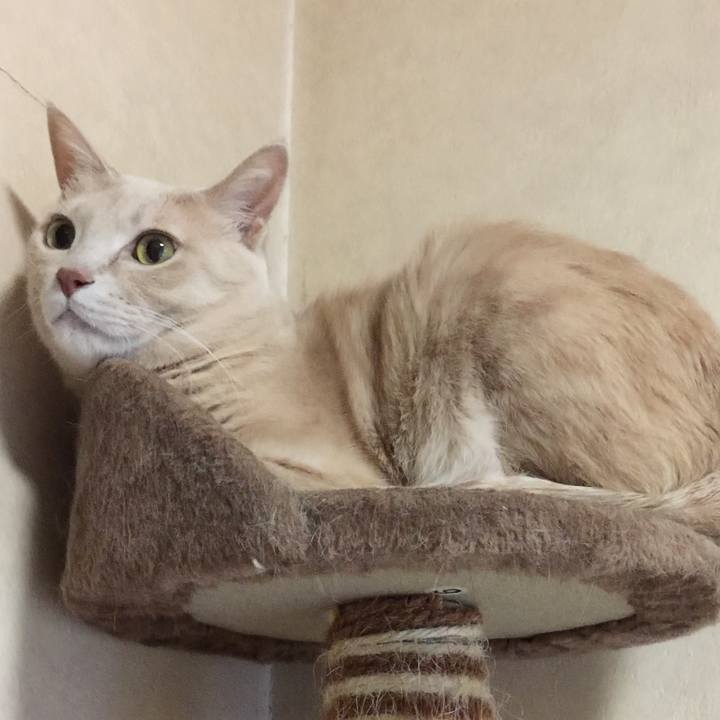 Cd6b0552 8d1e 43a9 a64a 841d3c006019 1565104727075