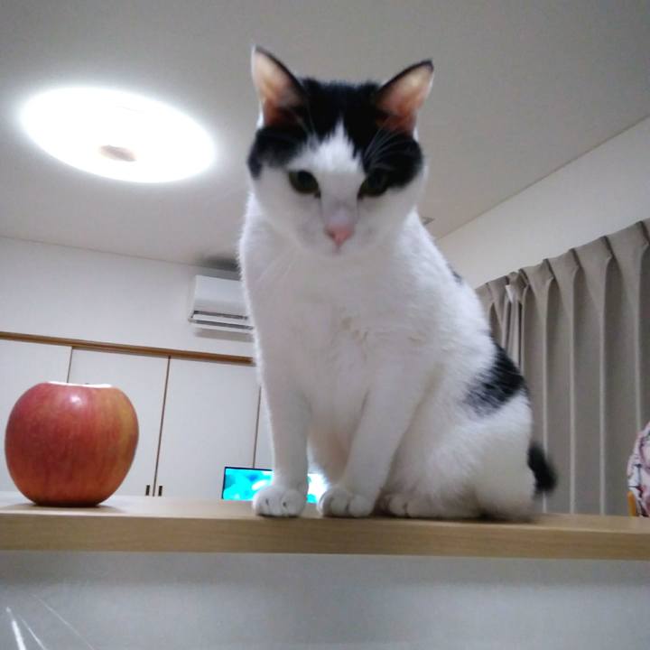 Cd6b0a91 32aa 446c 861a c5876bd74266 1549113383997