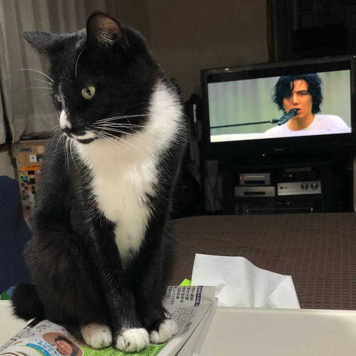 Cd6b4b81 ed42 44ed bc09 00022048422d 1631590443733