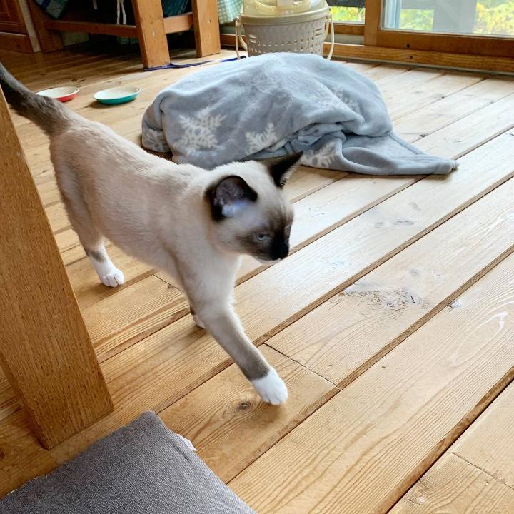 Cd6b6402 cbe5 4d83 b74c 10f1ed76afaf 1668642134210