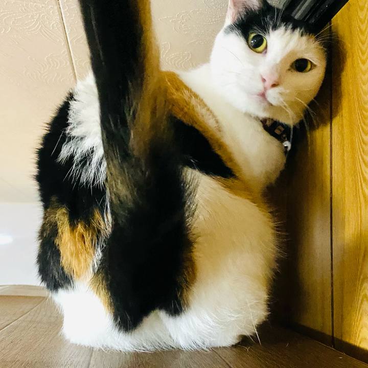 Cd6bc8a0 9551 4dc3 a99e 43e6f7bb28cd 1661175977966