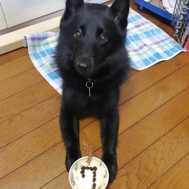 Cd6bc903 820d 466e 8aba 9ab79de51dc8 1631446897075