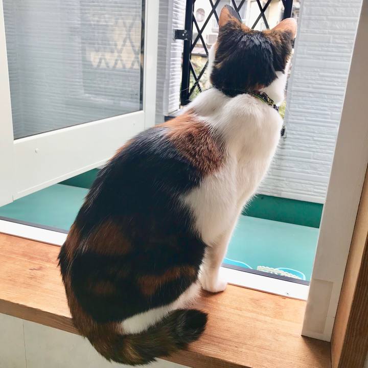 Cd6bd83c 0864 48e2 9cb5 3b6ae73b5e07 1512351633156