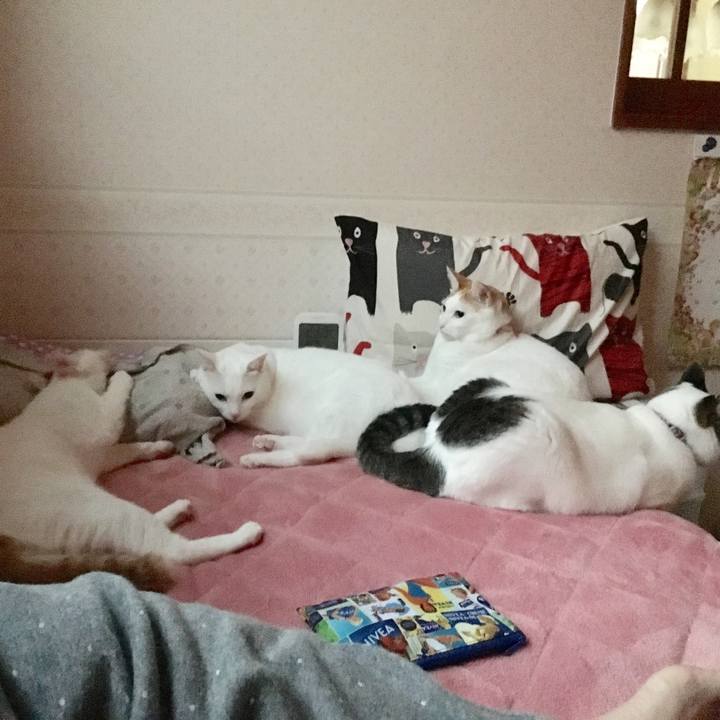 Cd6c50b9 90e2 4319 af79 d7108cd7a60e 1510203095649