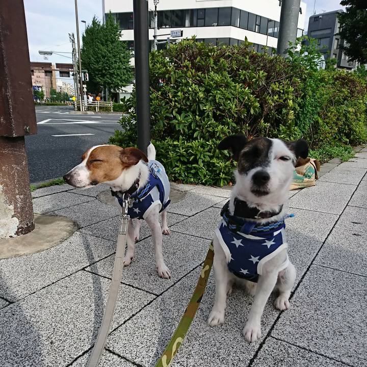 Cd6c79d3 6698 4d51 886c da00d082af2b 1531000098581