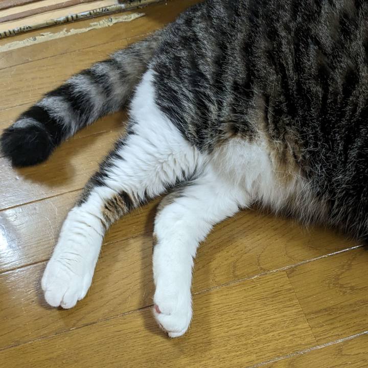 Cd6ca1fb 4fa8 41d2 9a6e 3a56e771a53a 1715815400344