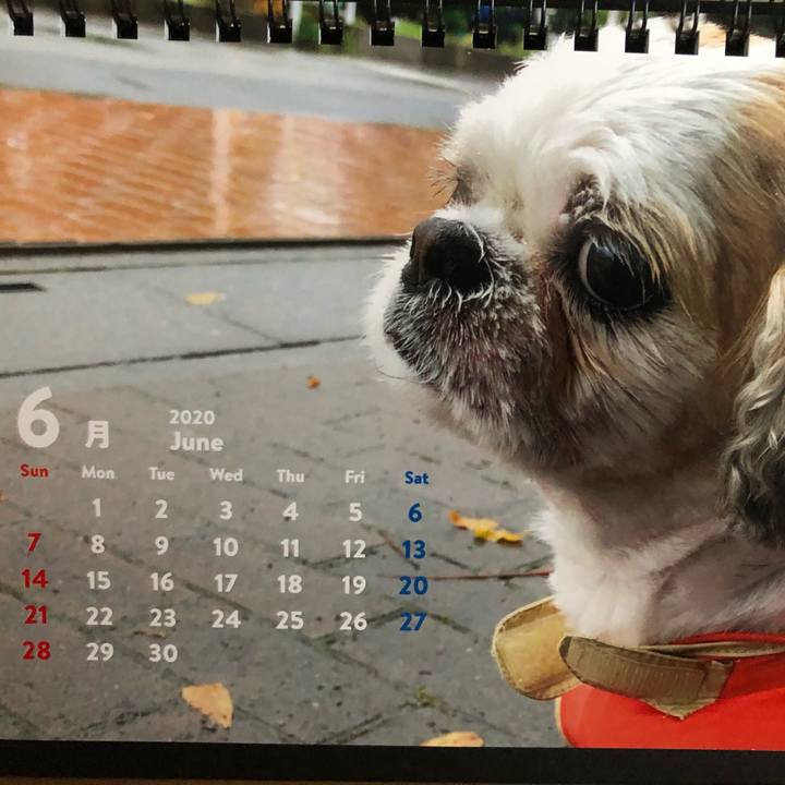 Cd6ca677 e22c 44b4 ac6f 29e0968de12b 1591221318160