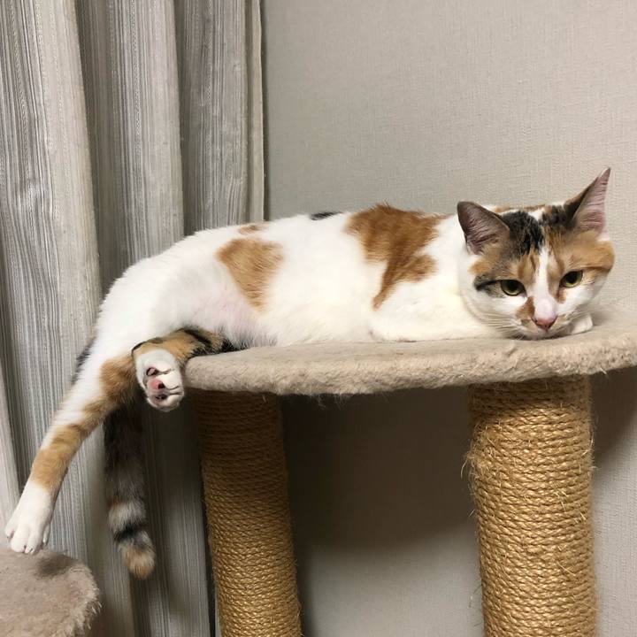 Cd6ca72c c979 4a9f bde0 0129c2405224 1591191397171