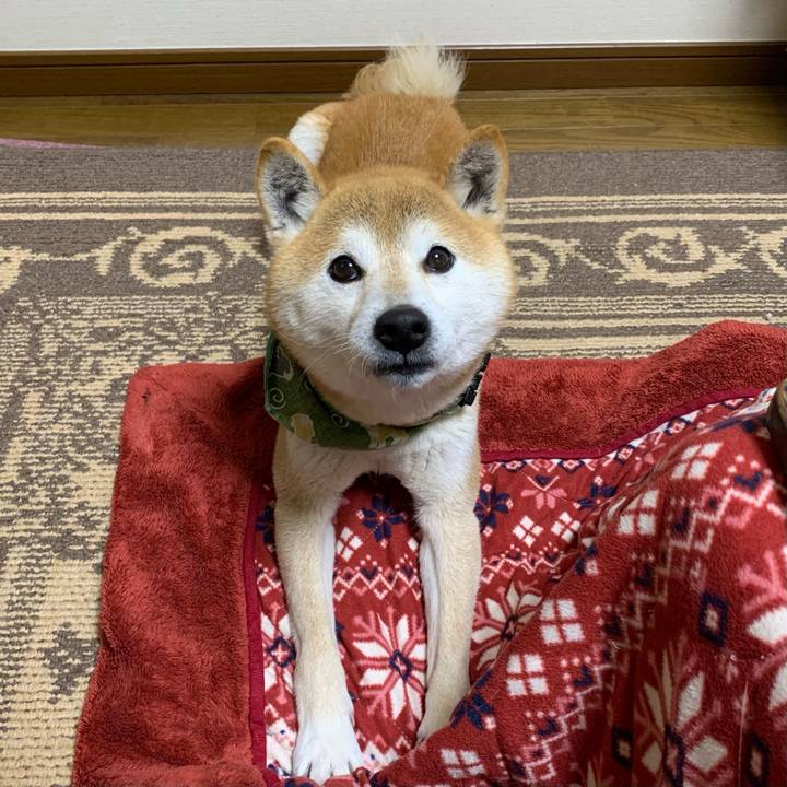 Cd6cc592 4f77 46d9 b0a0 f8809182aa6a 1613549620863