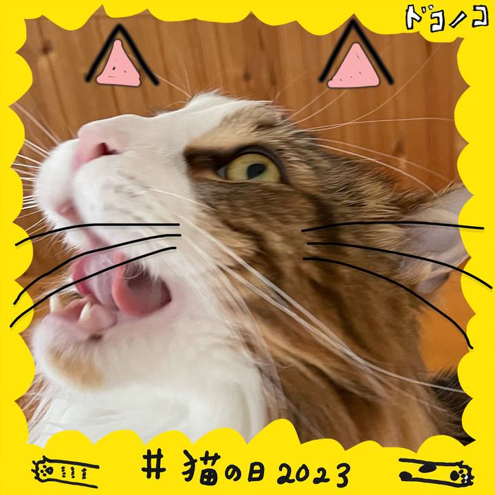 Cd6ce14c 9907 4fc1 8c80 07d340304d81 1677034943409