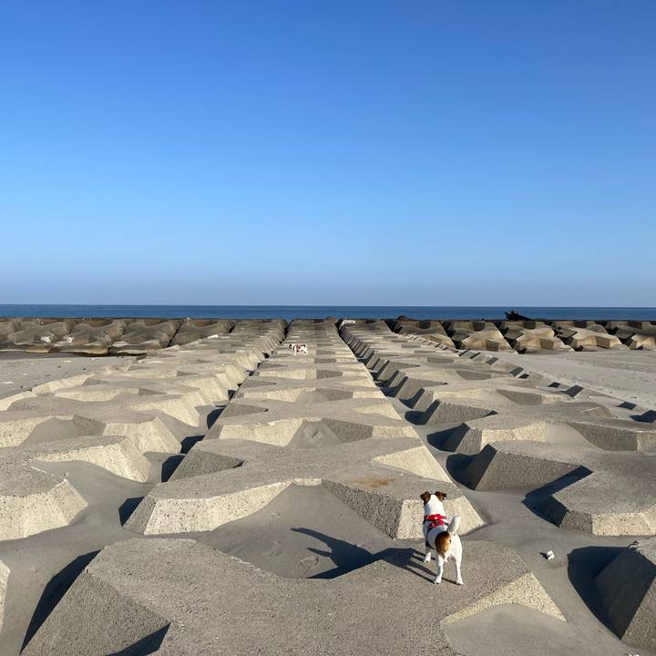 Cd6cfcb8 e84a 4c38 abb3 9be5d2cf59e2 1680047669895