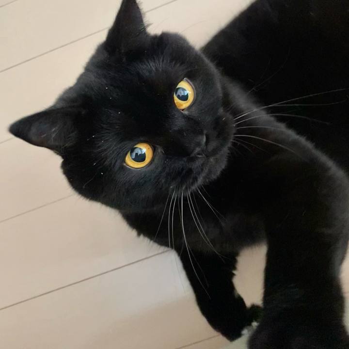 Cd6d124b ac92 4788 8342 f91ef4cf7fa8 1664620793944