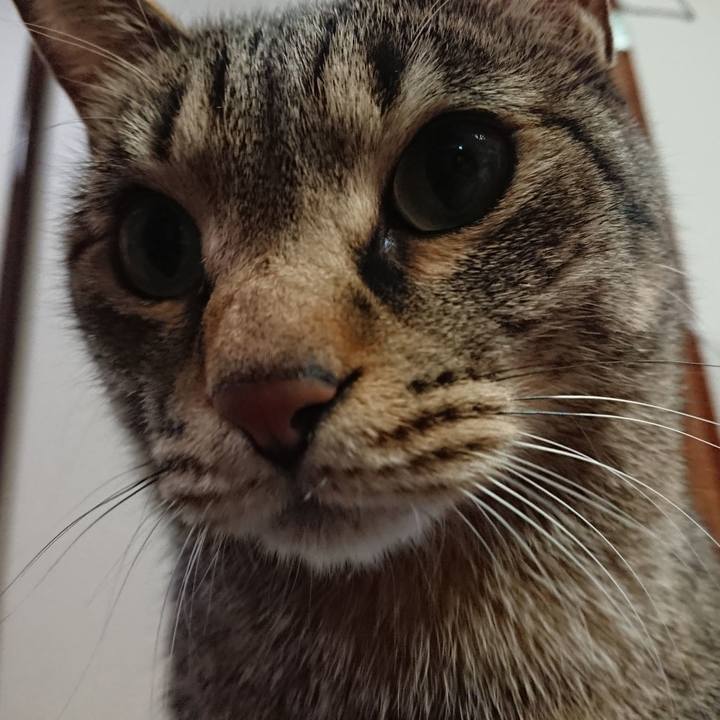 Cd6d24d0 e11e 4051 bf2d 026a14056e90 1521815322703