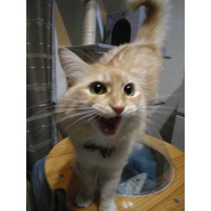 Cd6d42b9 30d6 4c75 a8c6 fa977bd20b25 1693997817159