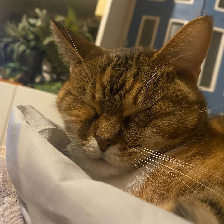 Cd6d4677 0d8b 40a4 817e 5e056e1c1083 1671546047922