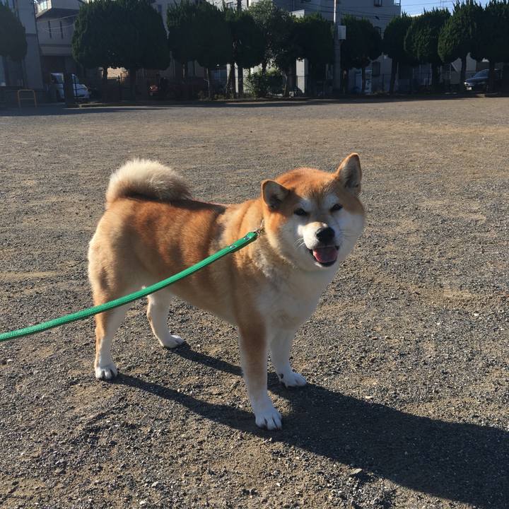 Cd6d481b b246 4393 9dc7 b5b91406b1bf 1603237761397