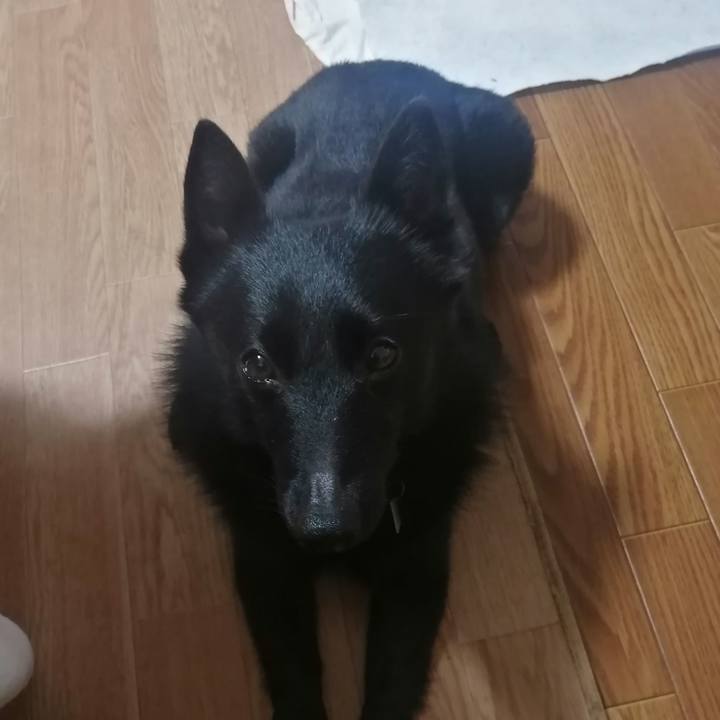 Cd6d571f 352c 4433 8263 430c70678f02 1621545620558