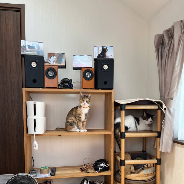 Cd6d7126 68c8 4b64 8c49 2e4c78ea8bc6 1698761602658