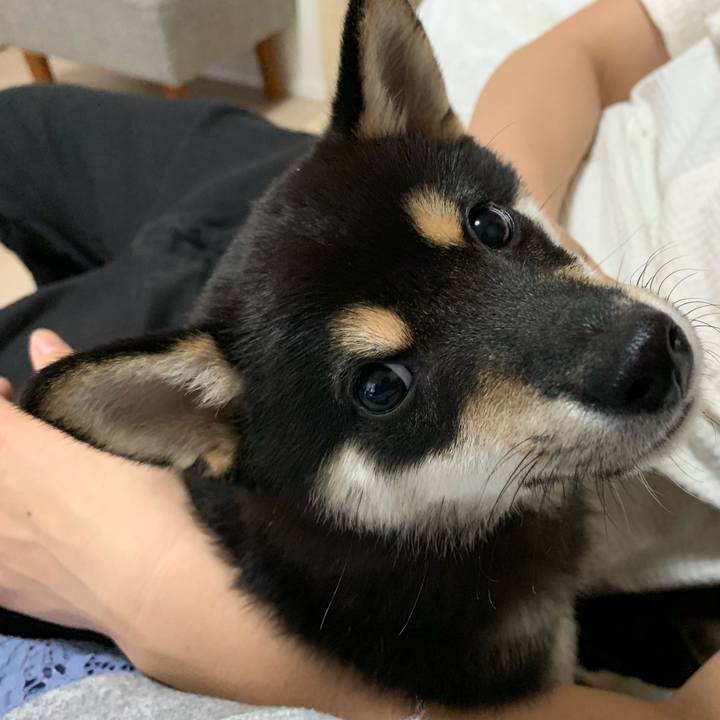 Cd6d9222 5aa4 4f8b 87ce 2714ad70017b 1556927962525