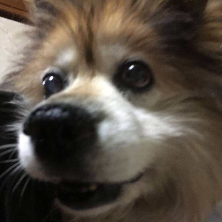 Cd6d930c 151d 44c7 9a3c 33df1e767b97 1624079265501