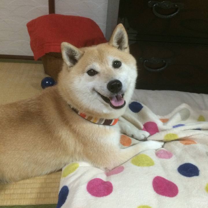 Cd6da224 a66d 420d 8c1d 6810f8391d21 1764166531551