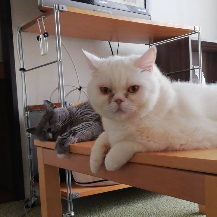 Cd6da469 011f 4dce 8962 79c962c06755 1687655487865